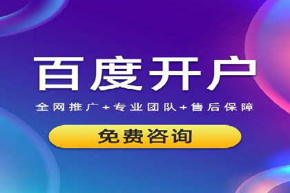 案例解析：SEM投放助力电商增长